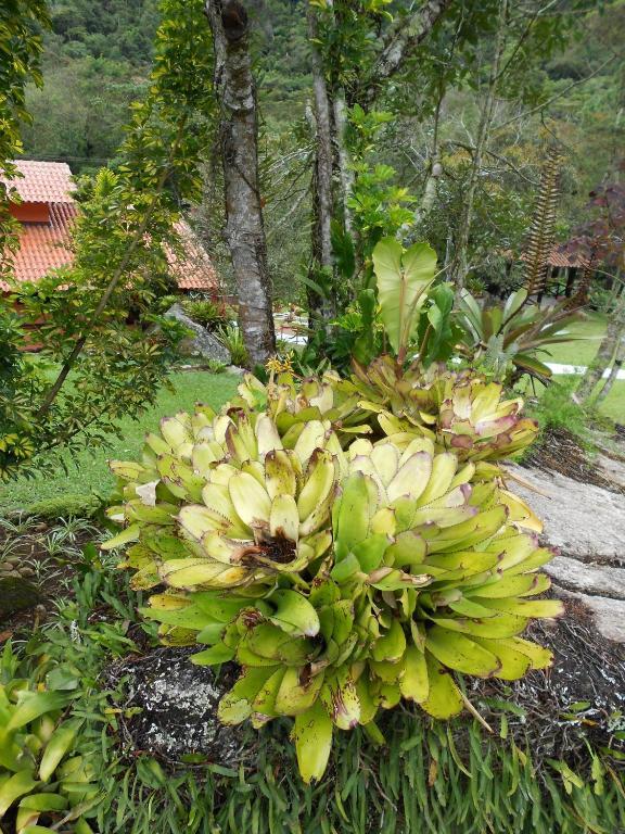 Country Ville Hotel Teresópolis المظهر الخارجي الصورة